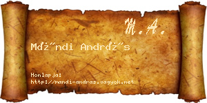 Mándi András névjegykártya